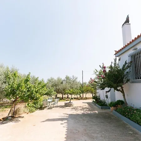 Myrsini's House - Neapoli Garden & Grove Retreat * Sklavouna