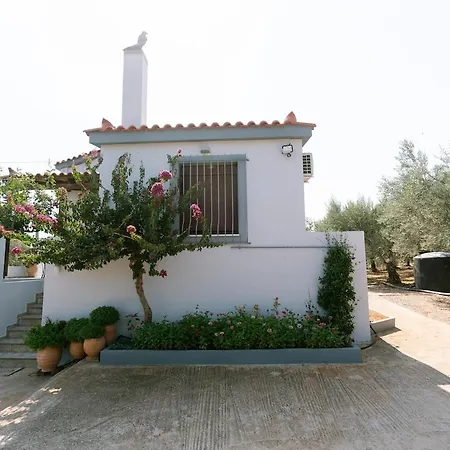 Myrsini's House - Neapoli Garden & Grove Retreat 펜션 Sklavouna